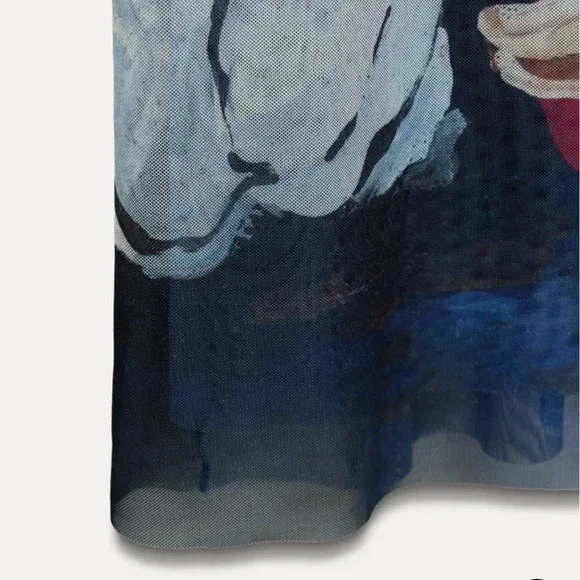 Zara Printed Tulle Dress - Picture 7 of 8